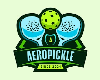 Aero Pickleball Viman Nagar Pune