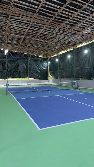 Infinity Pro Pickleball