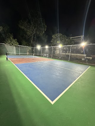 Backyard Pickleball